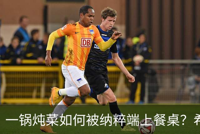 一锅炖菜如何被纳粹端上餐桌？希特勒：我拍个照就走