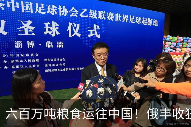 六百万吨粮食运往中国！俄丰收狂销刷出新纪录，我们在依赖它吗？